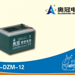 奥冠电池6-DZM-12