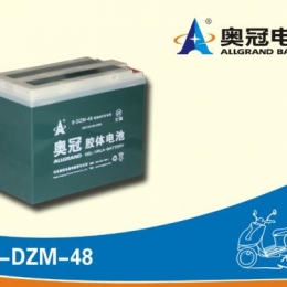奥冠电池6-DZM-48