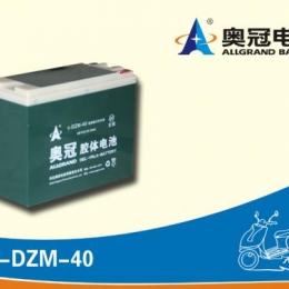 奥冠电池6-DZM-40