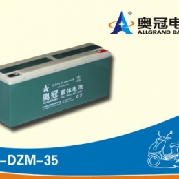 奥冠电池6-DZM-35