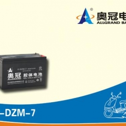 奥冠电池6-DZM-7