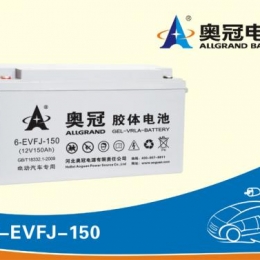 奥冠电池6-EVFJ-150