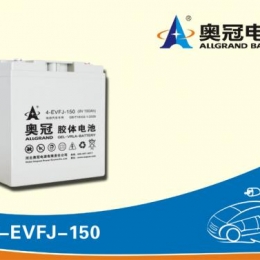 奥冠电池4-EVFJ-150