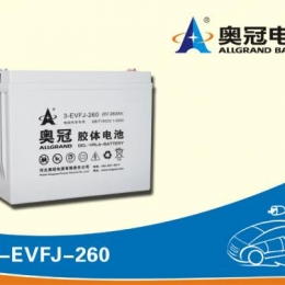 奥冠电池3-EVFJ-260