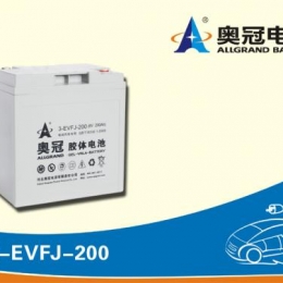 奥冠电池3-EVFJ-200