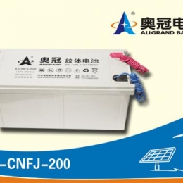 奥冠电池6-CNFJ-200