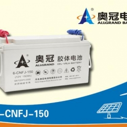奥冠电池6-CNFJ-150