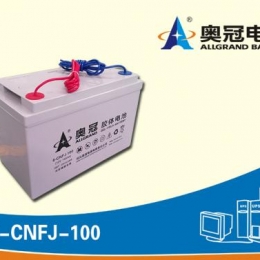 奥冠电池6-CNFJ-100
