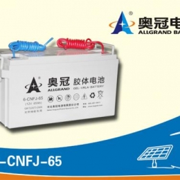 奥冠电池6-CNFJ-65