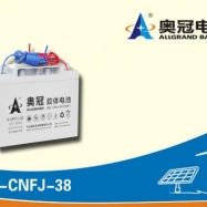 奥冠电池6-CNFJ-38