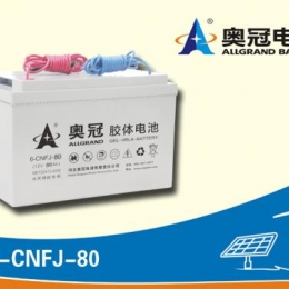 奥冠电池6-CNFJ-80