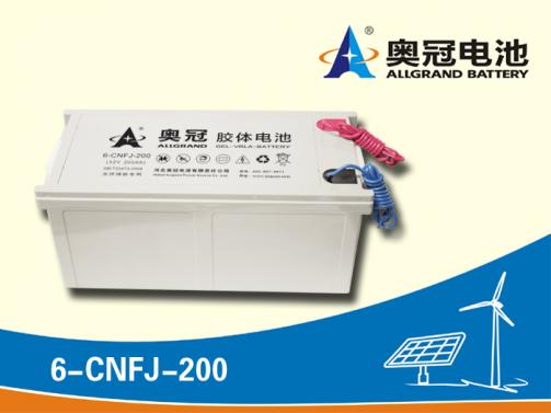 奥冠电池6-CNFJ-200