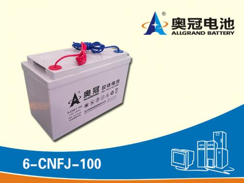 奥冠电池6-CNFJ-100