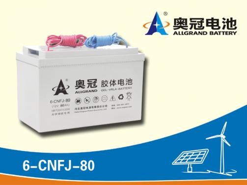 奥冠电池6-CNFJ-80