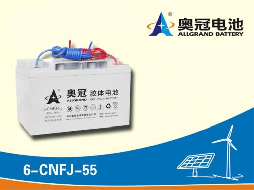 奥冠电池6-CNFJ-55