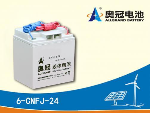 奥冠电池6-CNFJ-24